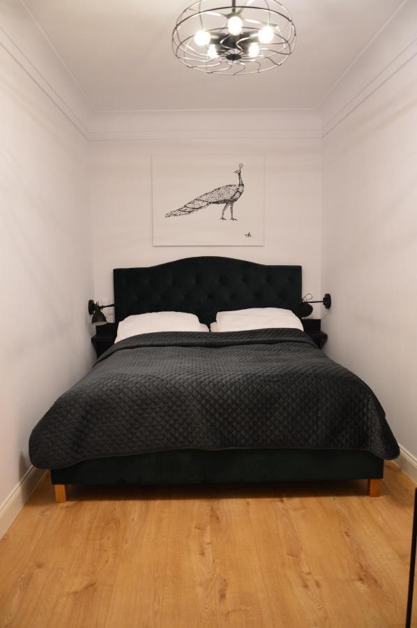 Apartamenty Szeroka 32 Stary Toruń Esterno foto
